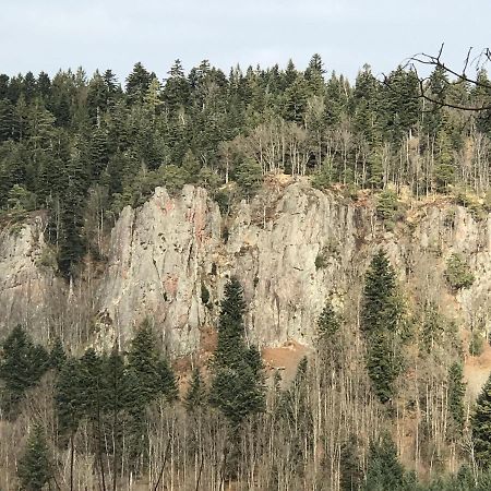 Ferienwohnungen Beilerstaedtle Oppenau Exteriér fotografie