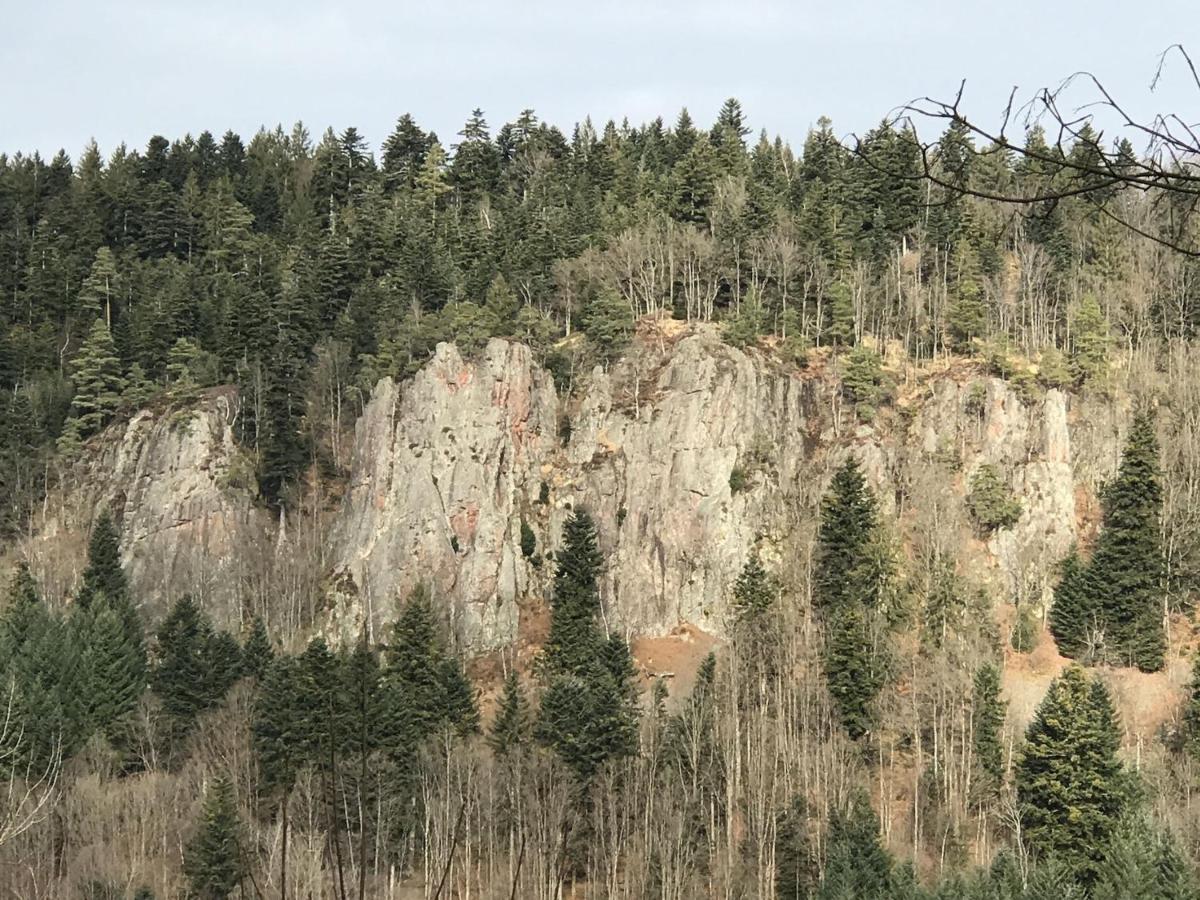 Ferienwohnungen Beilerstaedtle Oppenau Exteriér fotografie